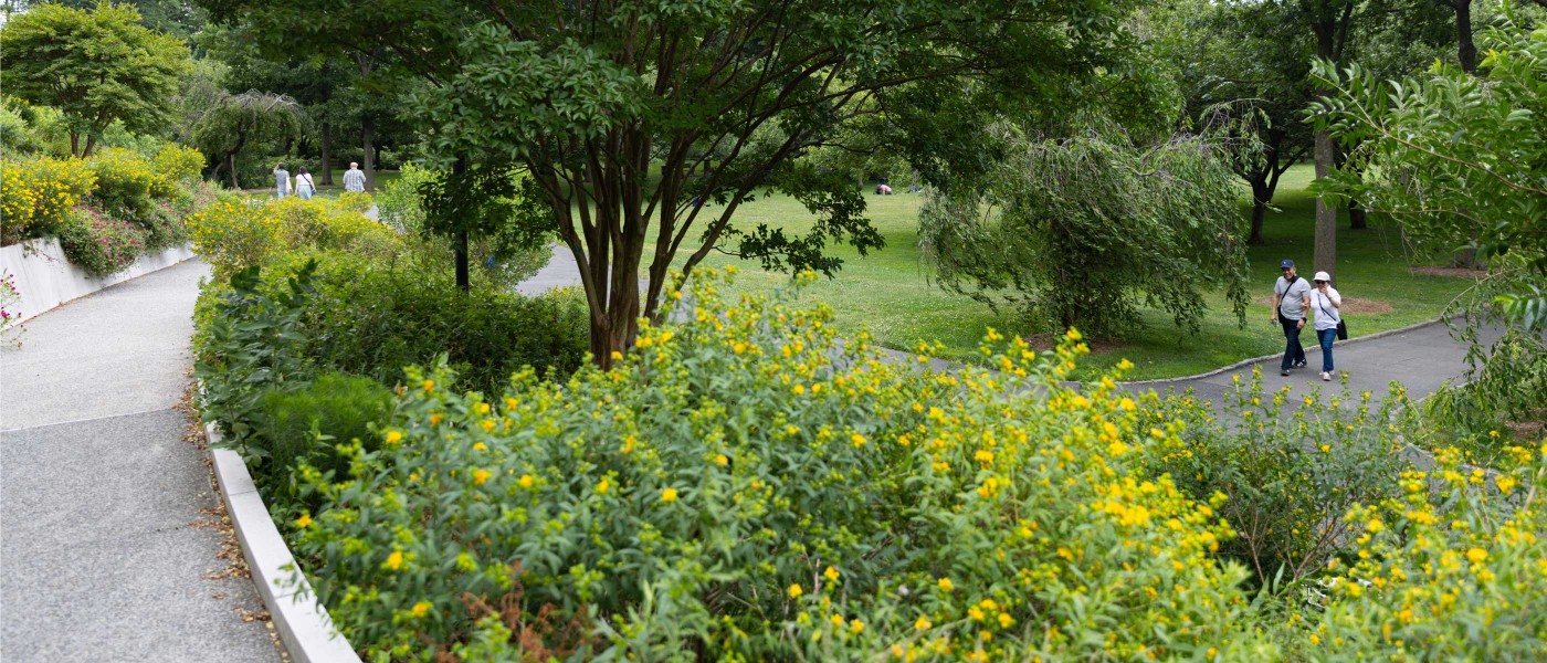 garden botanical visit