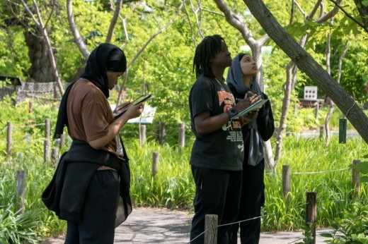 Three teenagers look up at a tree against a background of greenery.