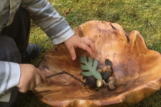 a small child plays with acorns and leaves