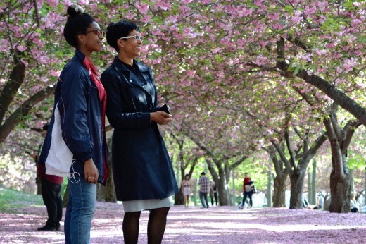 Two women stand on a petal-strewn path amid flowering cherry trees.