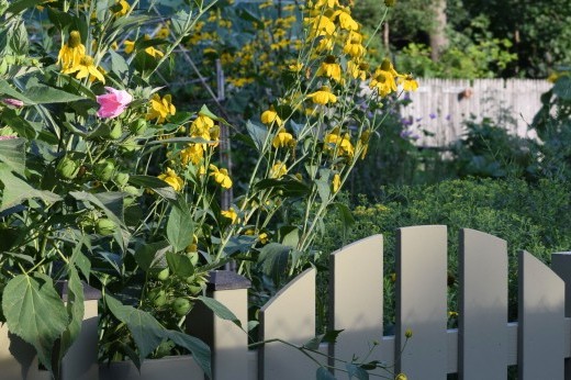 The gate into the Children's Garden.