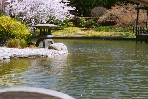 A view of a pond with a Japanese lantern on a small stone island, seen through a curved wooden window.