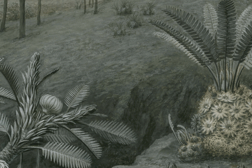 a black and white illustration of what a mesozoic landscape may have looked like