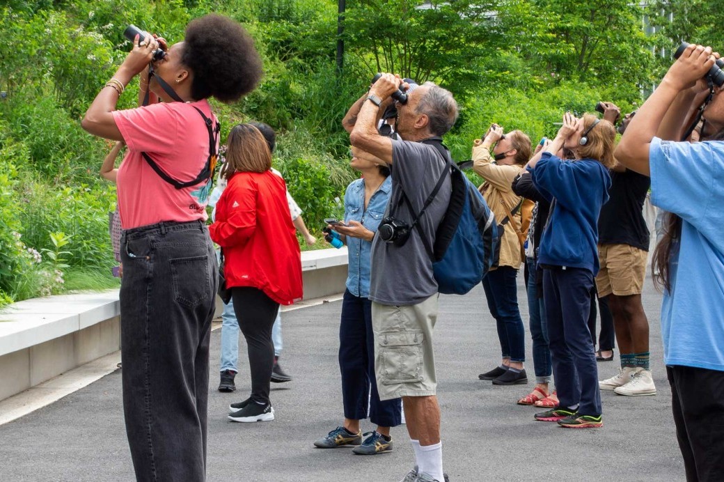 Birding Multiweek Class - Brooklyn Botanic Garden