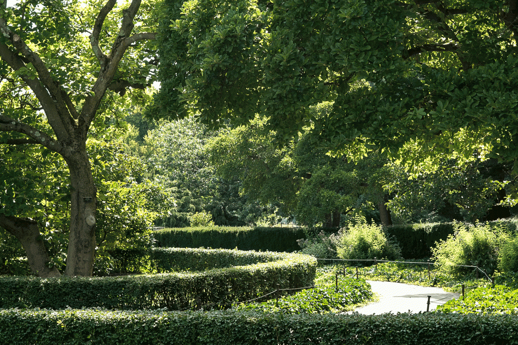 Using Beneficial Parasites To Attack Garden Pests - Brooklyn Botanic Garden