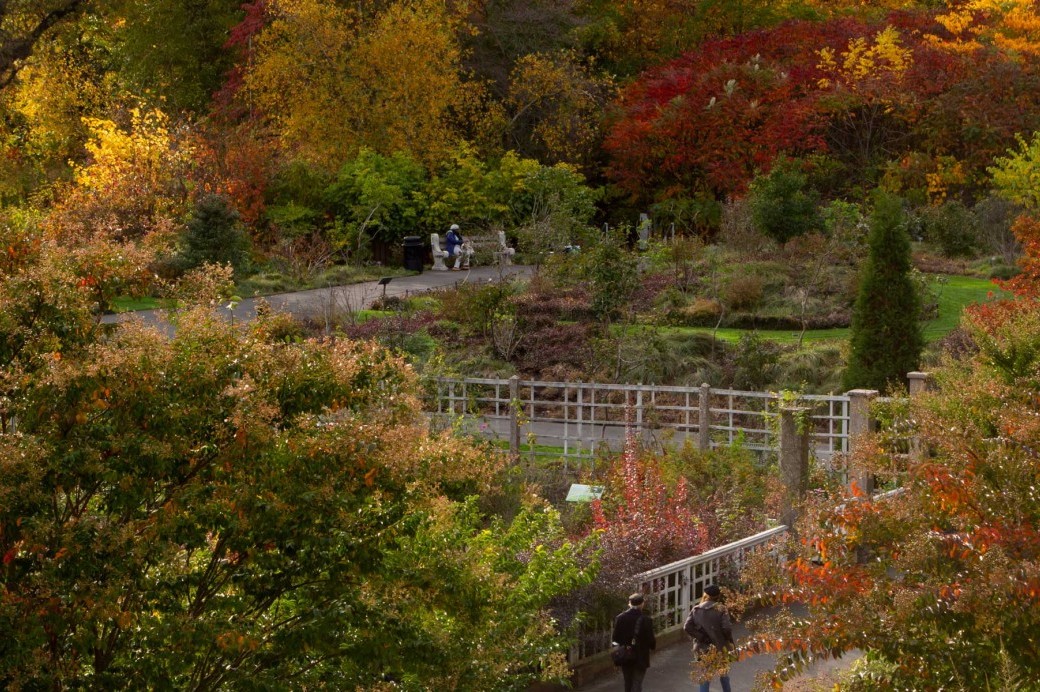 Visit - Brooklyn Botanic Garden