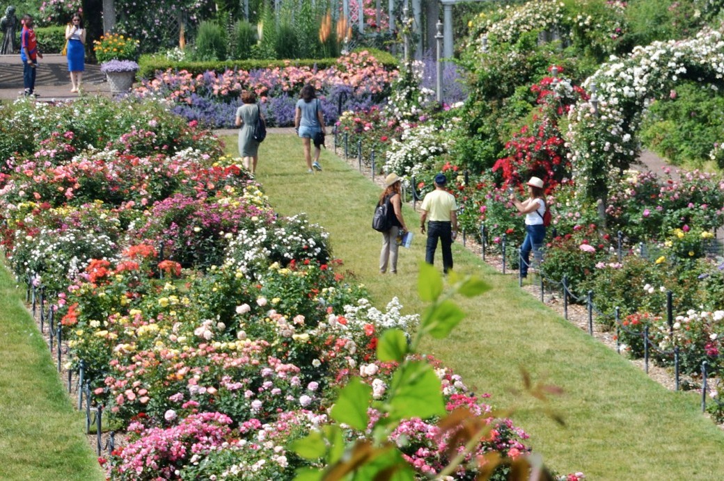 Visit Brooklyn Botanic Garden