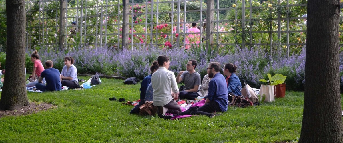 A group of people sit on a picnic blanket on the Cherry Esplanade lawn, with the rose garden in the background.