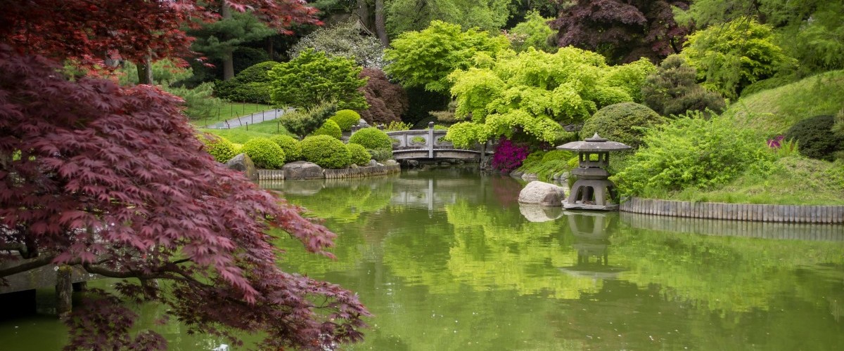 The Japanese Hill-and-Pond Garden in spring.