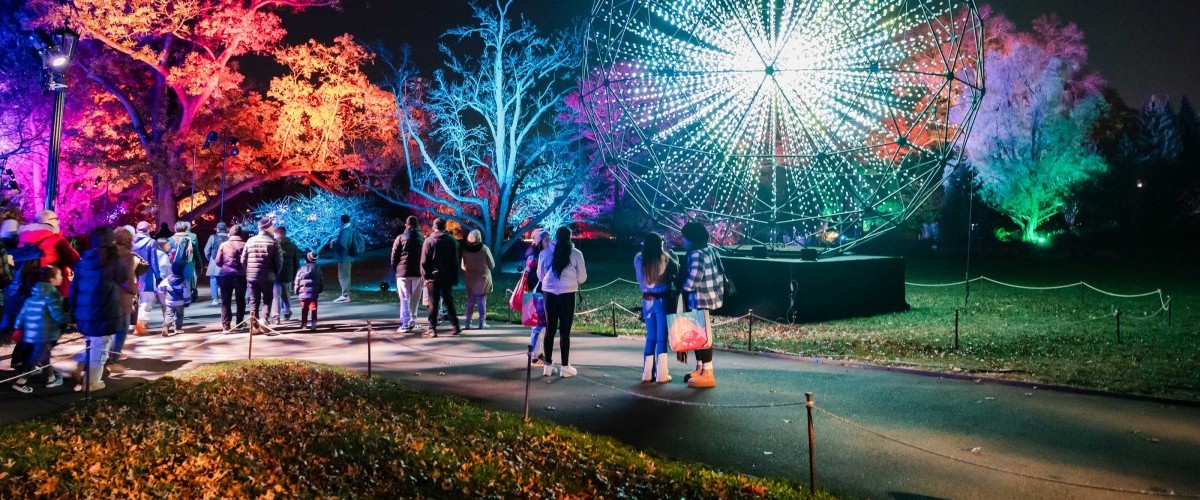 At night outdoors, people look at a giant sphere of light points, surrounded by trees bathed in colors.