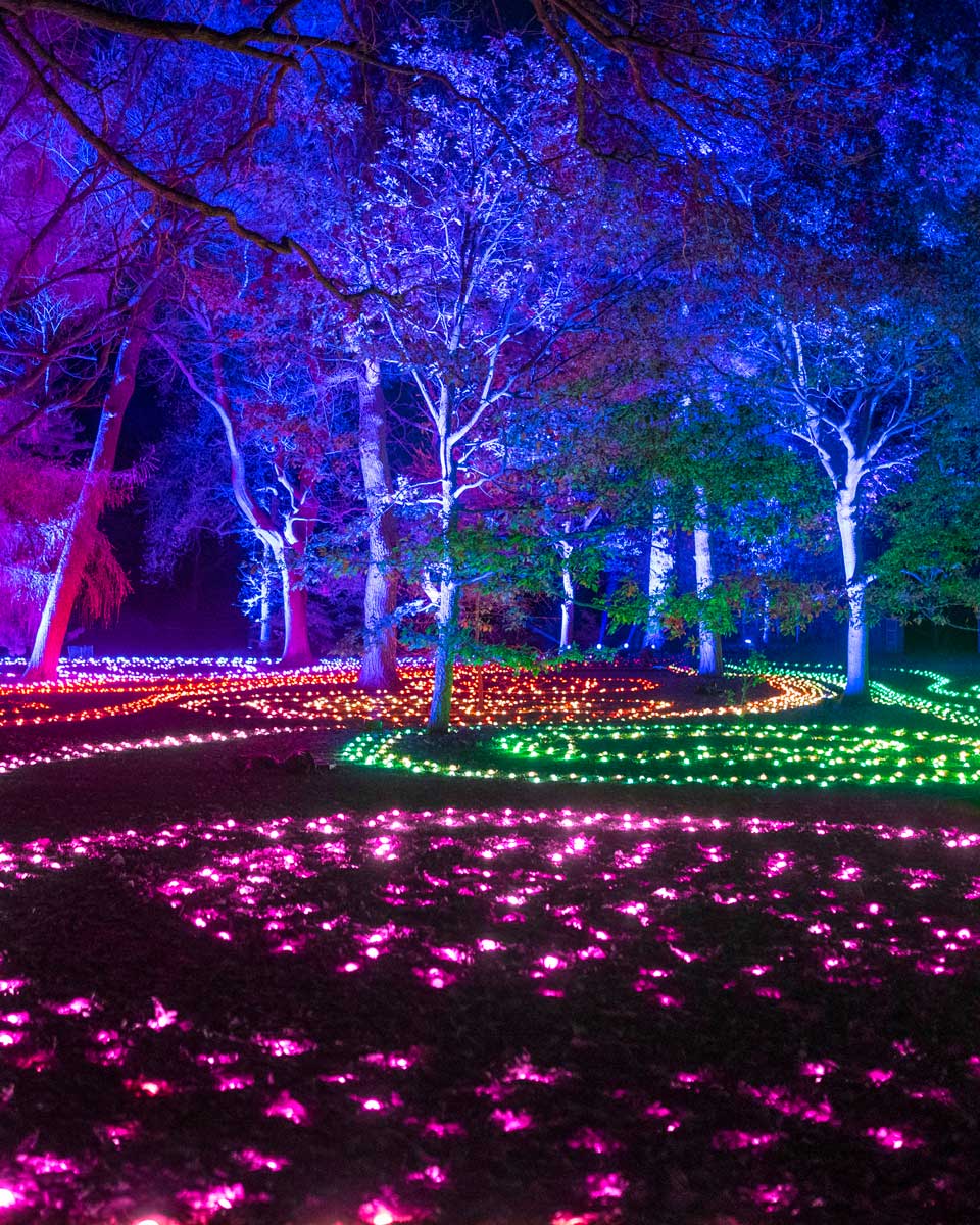 Lightscape - Brooklyn Botanic Garden