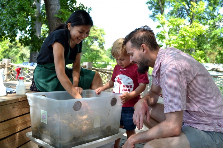 Discovery Garden - Brooklyn Botanic Garden