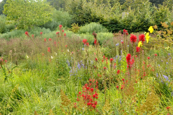 Water Garden - Brooklyn Botanic Garden