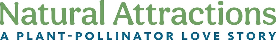 Natural Attractions Logo