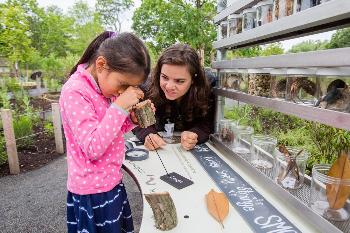 A Garden for the Next Century - Brooklyn Botanic Garden