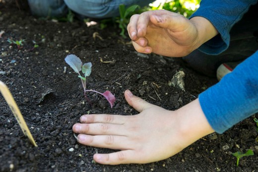 Children’s Garden Classes - Brooklyn Botanic Garden